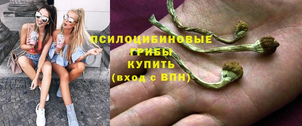 спиды Армянск