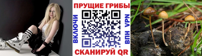 купить наркоту  KRAKEN сайт  Галлюциногенные грибы мухоморы  Покачи 